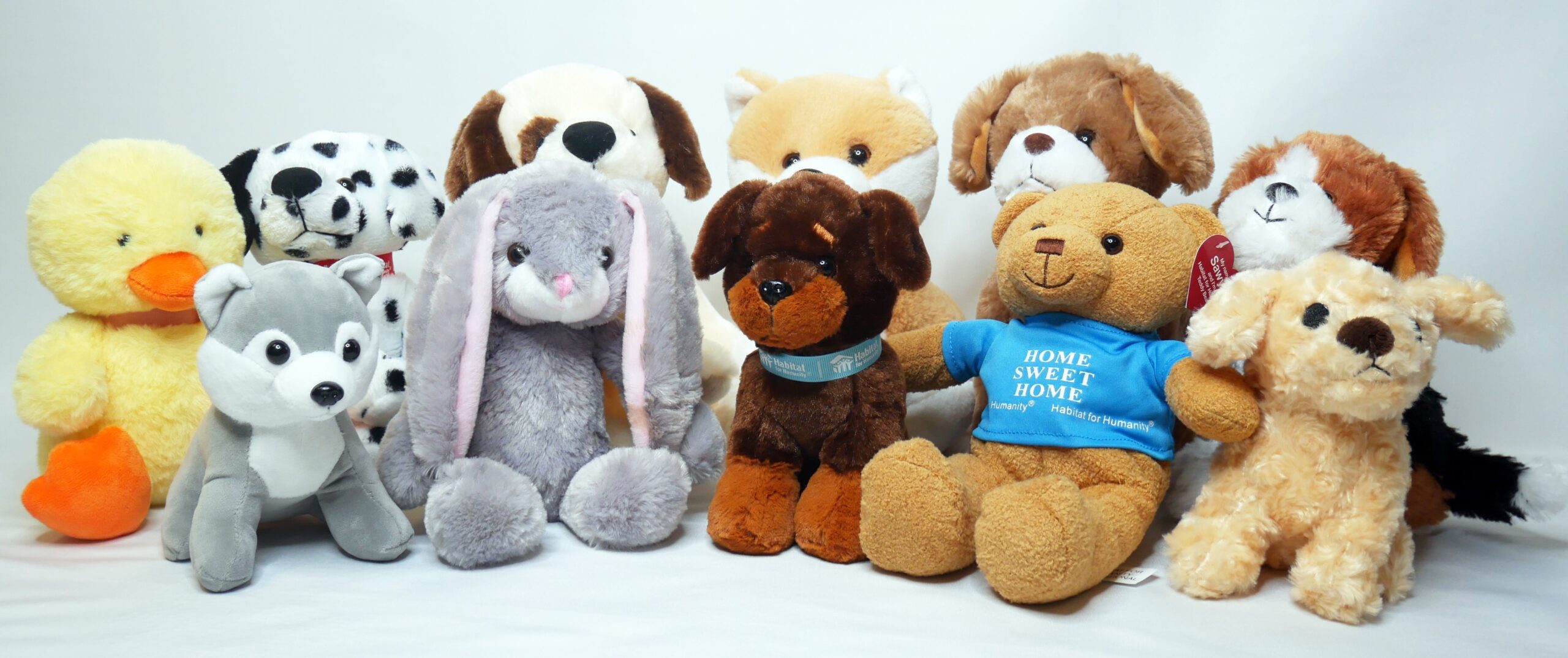 Back-end Freemiums - Fundraising Gift Ideas for Non-Profits, Businesses, and Corporations. Custom wholesale plush fundraising gift such as bears, bunnies, dogs. and ducks.